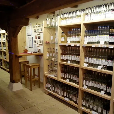 מלון דירות Binter